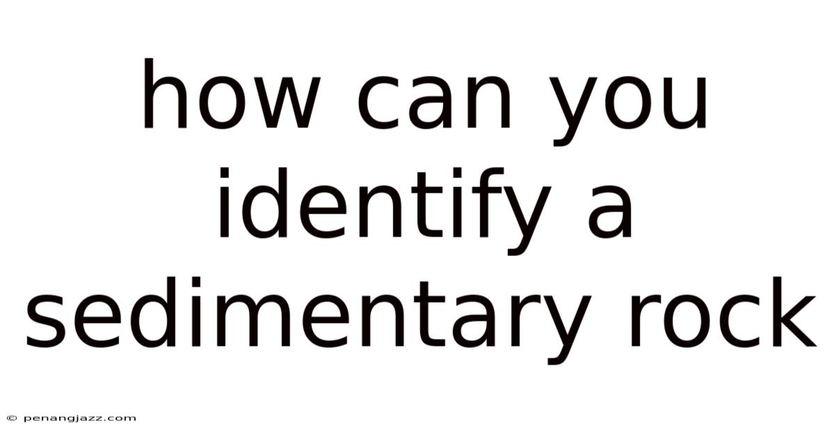 How Can You Identify A Sedimentary Rock
