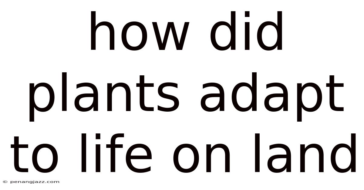 How Did Plants Adapt To Life On Land