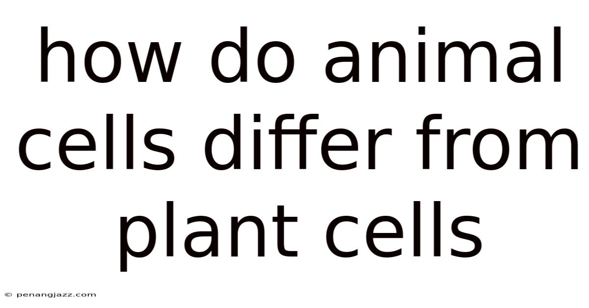 How Do Animal Cells Differ From Plant Cells