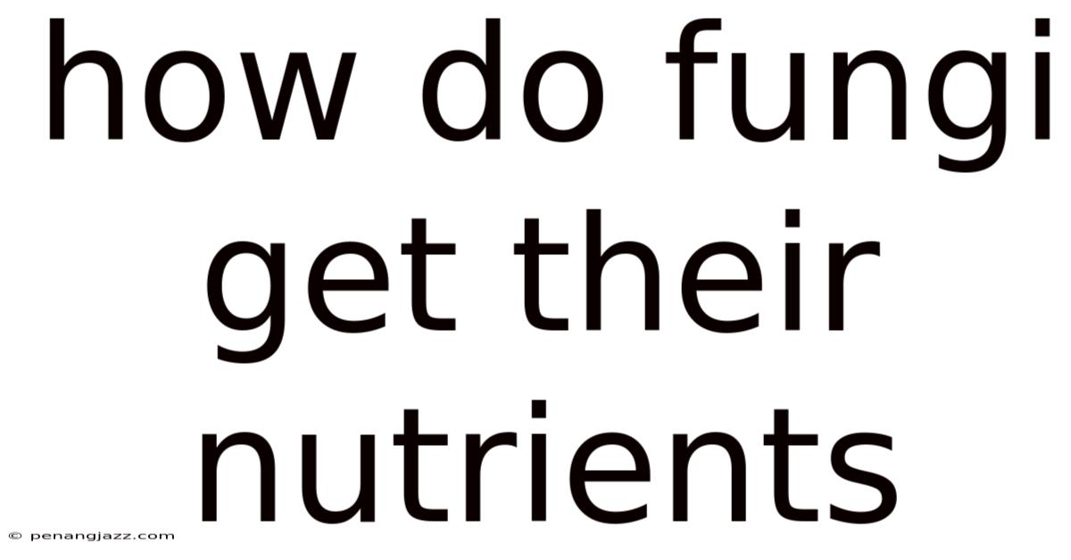 How Do Fungi Get Their Nutrients