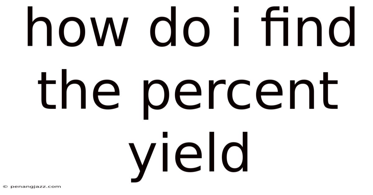 How Do I Find The Percent Yield