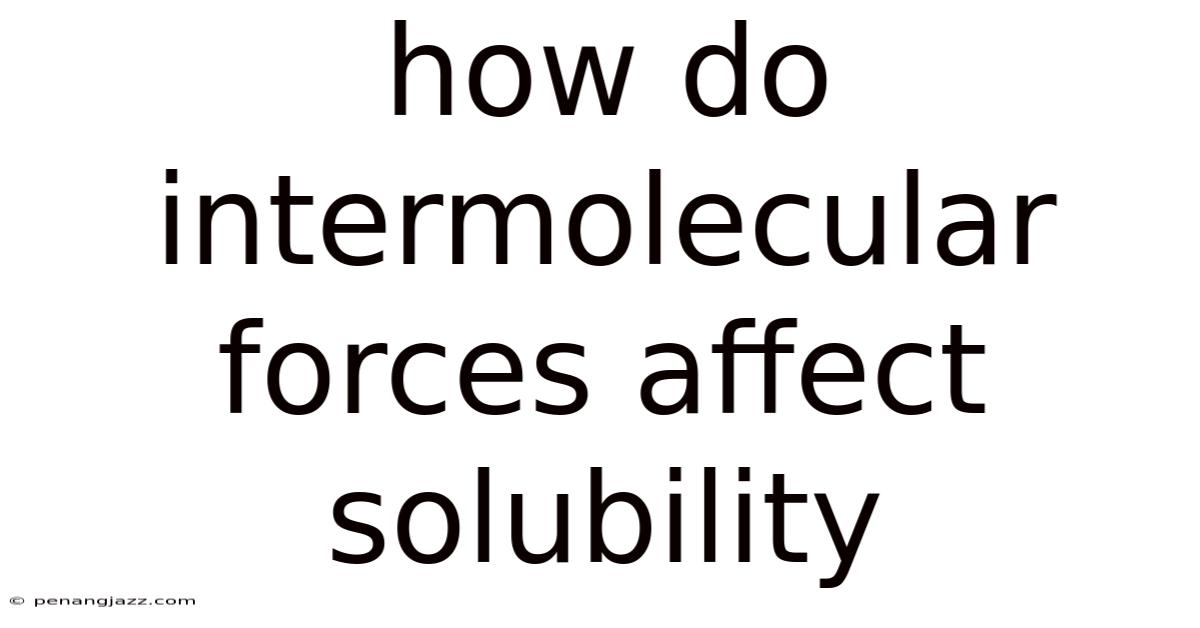 How Do Intermolecular Forces Affect Solubility