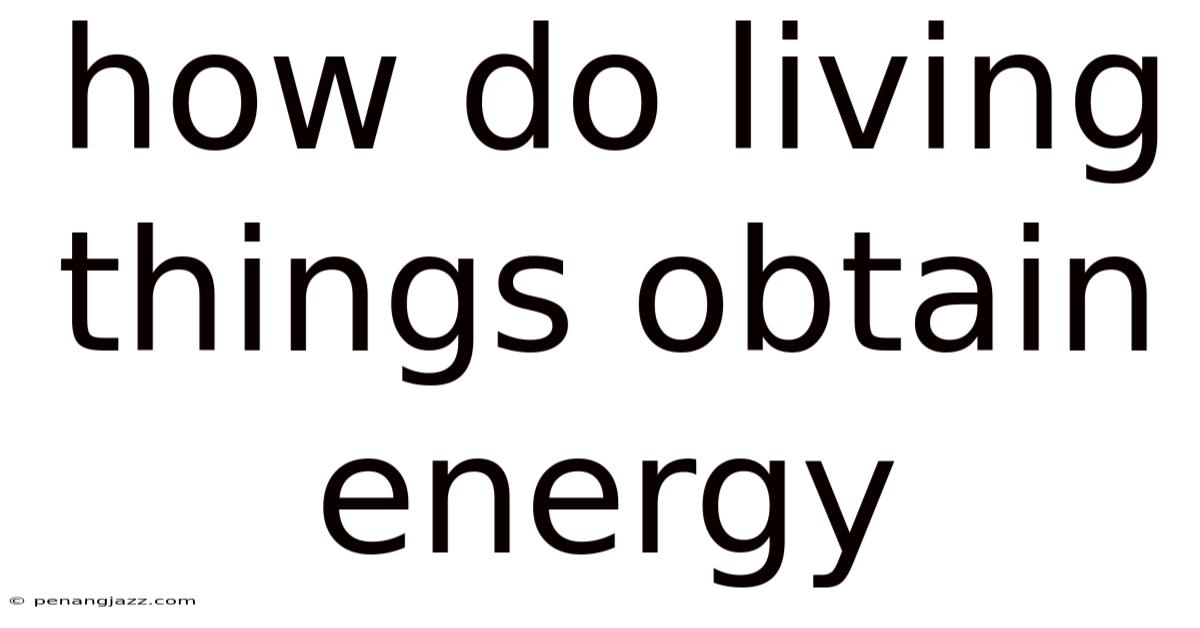 How Do Living Things Obtain Energy