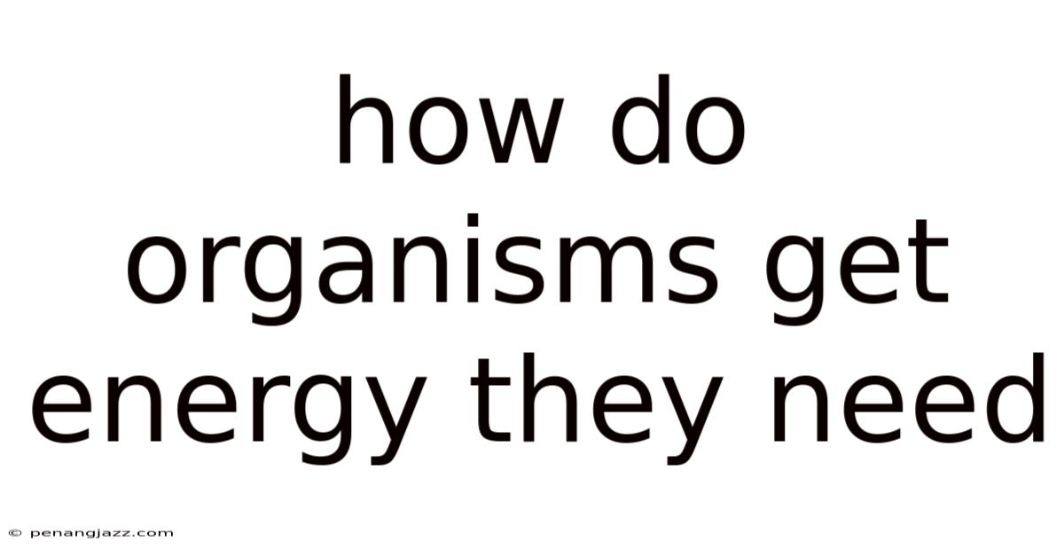 How Do Organisms Get Energy They Need