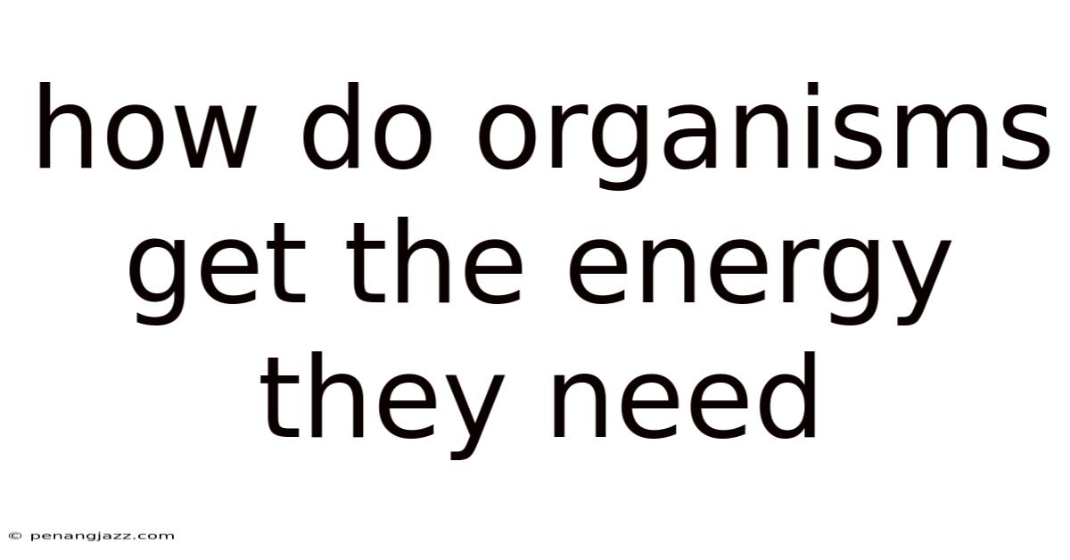 How Do Organisms Get The Energy They Need