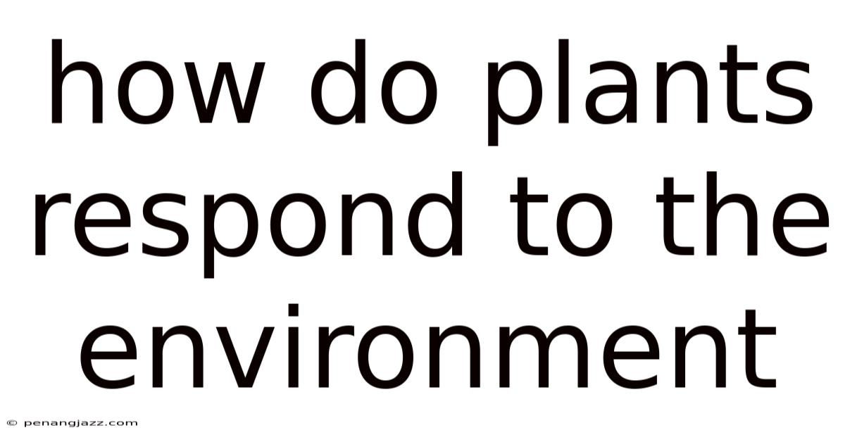 How Do Plants Respond To The Environment