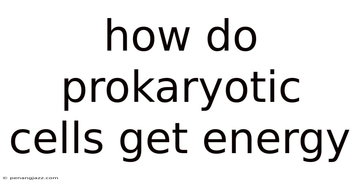 How Do Prokaryotic Cells Get Energy