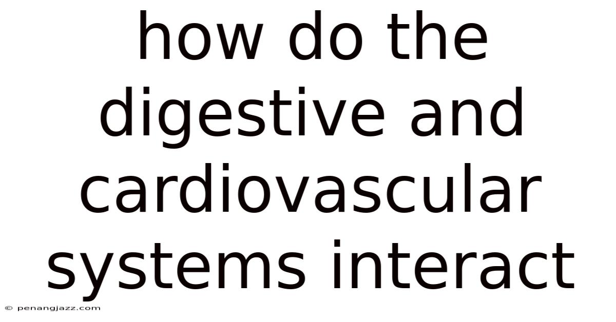 How Do The Digestive And Cardiovascular Systems Interact
