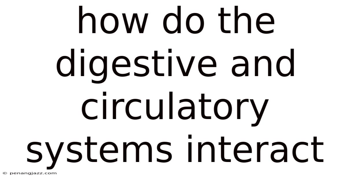 How Do The Digestive And Circulatory Systems Interact
