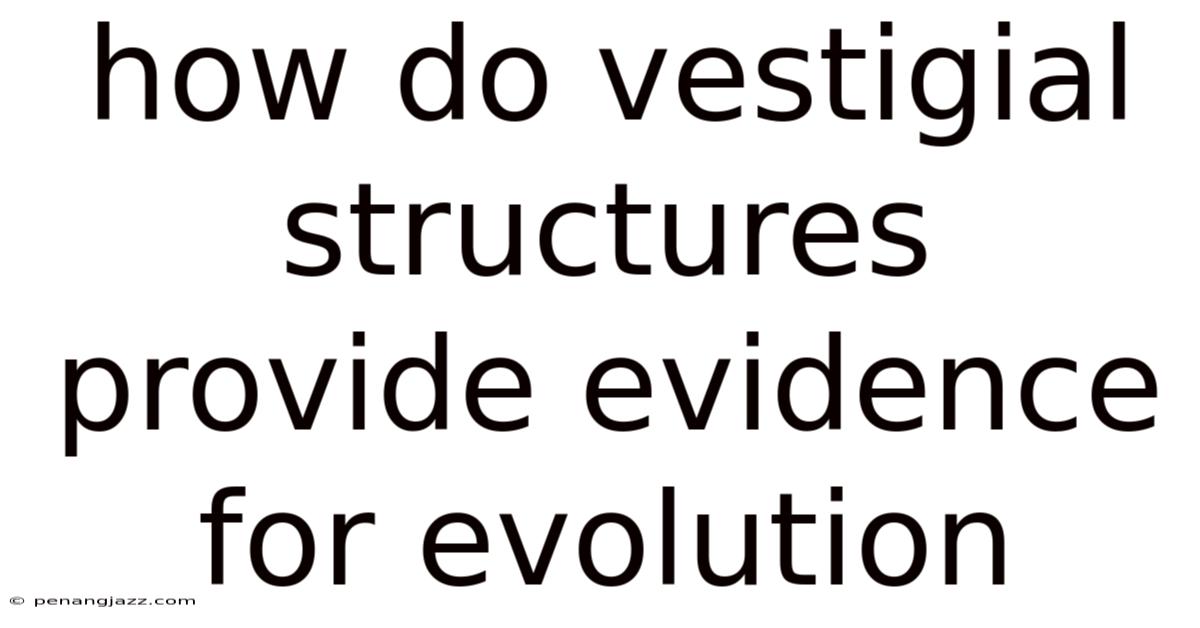 How Do Vestigial Structures Provide Evidence For Evolution
