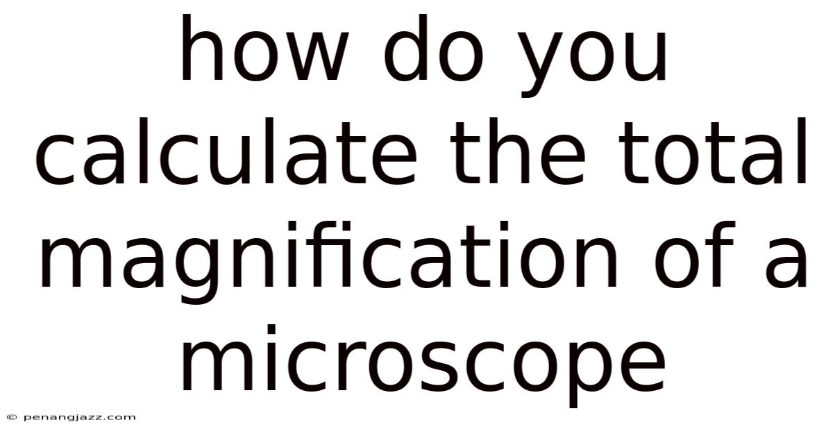 How Do You Calculate The Total Magnification Of A Microscope