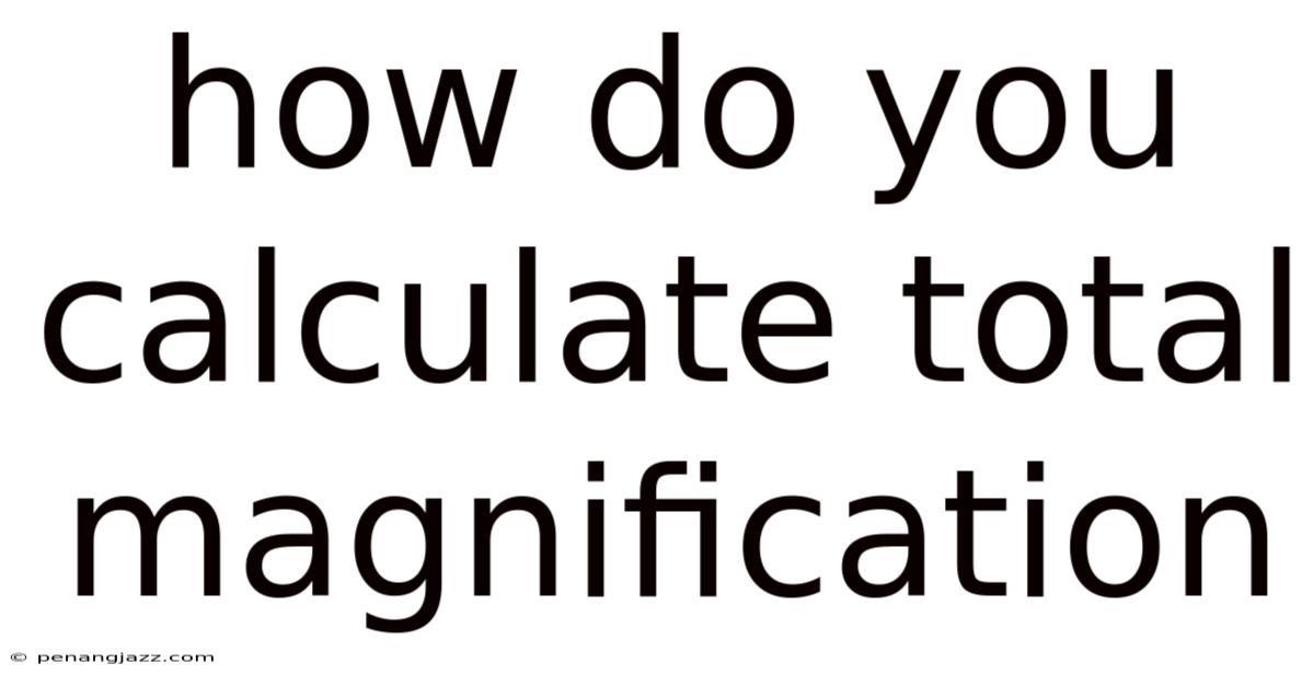 How Do You Calculate Total Magnification