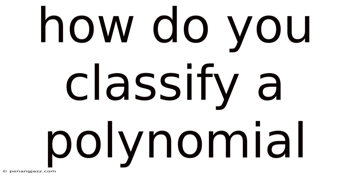 How Do You Classify A Polynomial