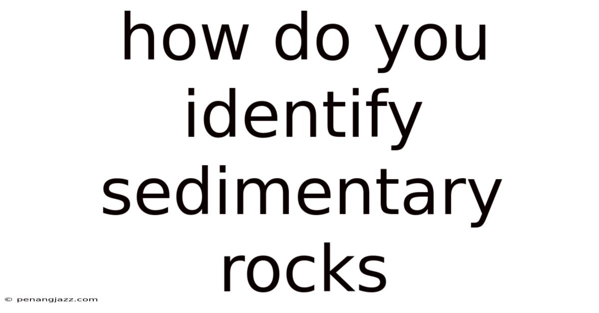 How Do You Identify Sedimentary Rocks
