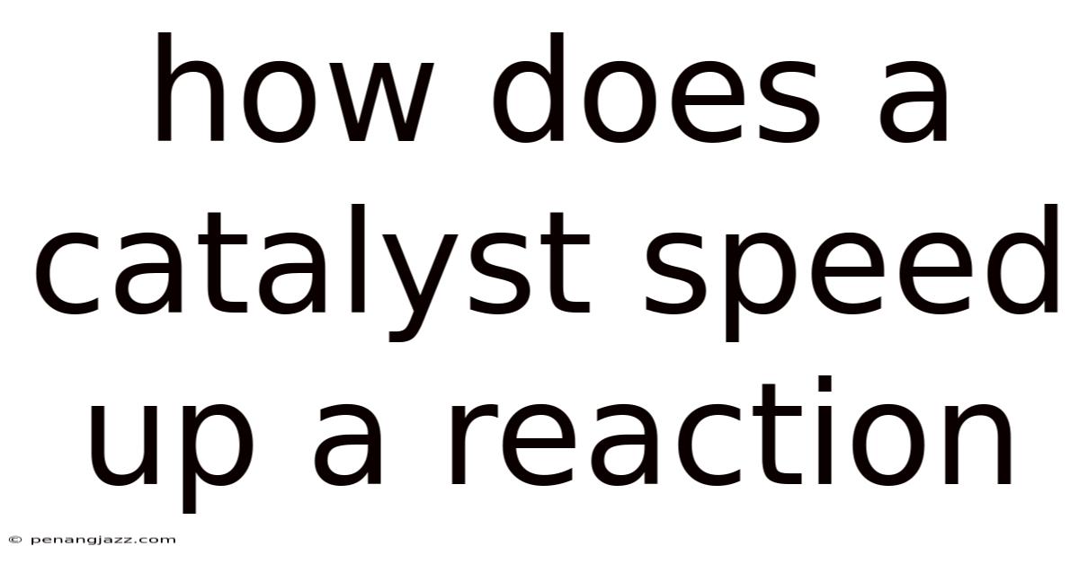 How Does A Catalyst Speed Up A Reaction