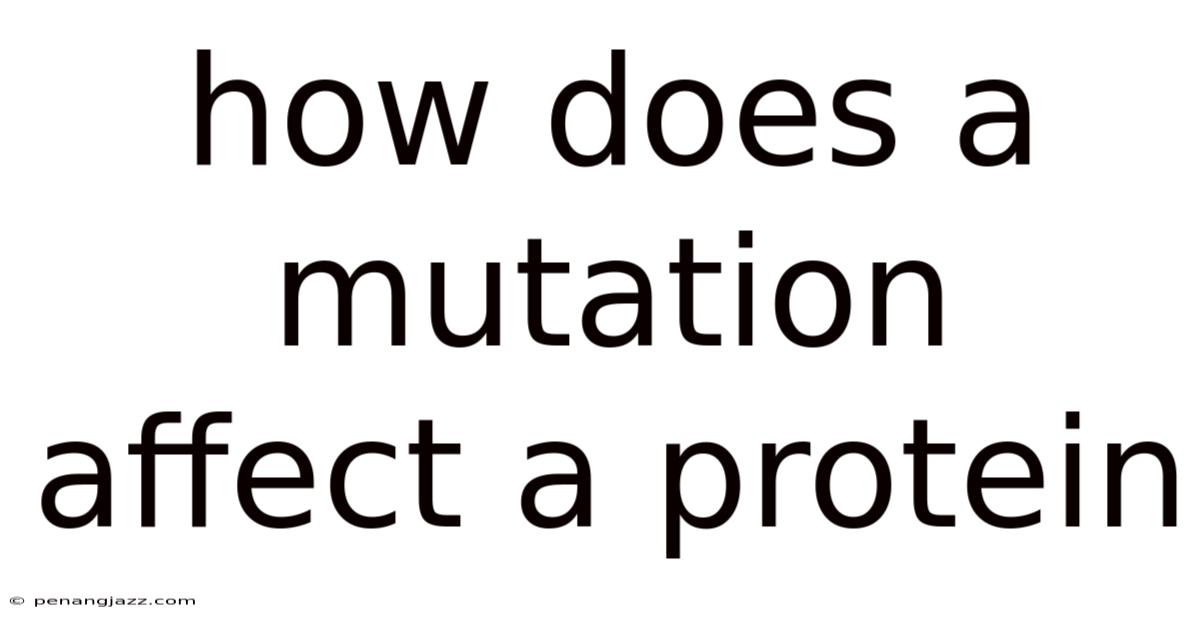 How Does A Mutation Affect A Protein