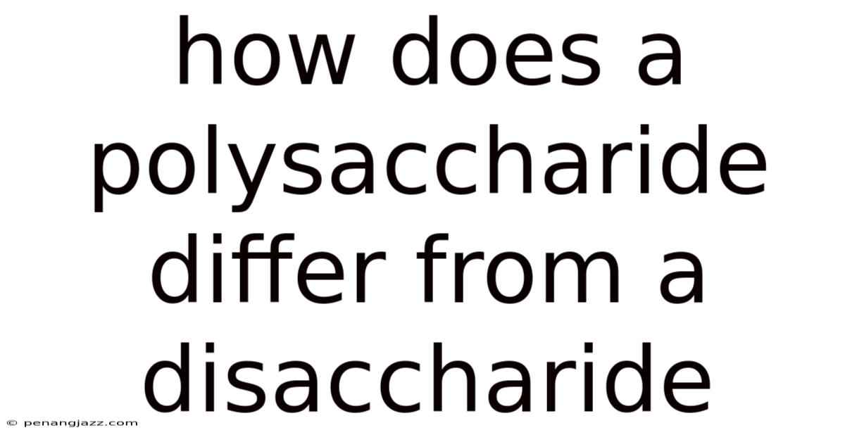How Does A Polysaccharide Differ From A Disaccharide