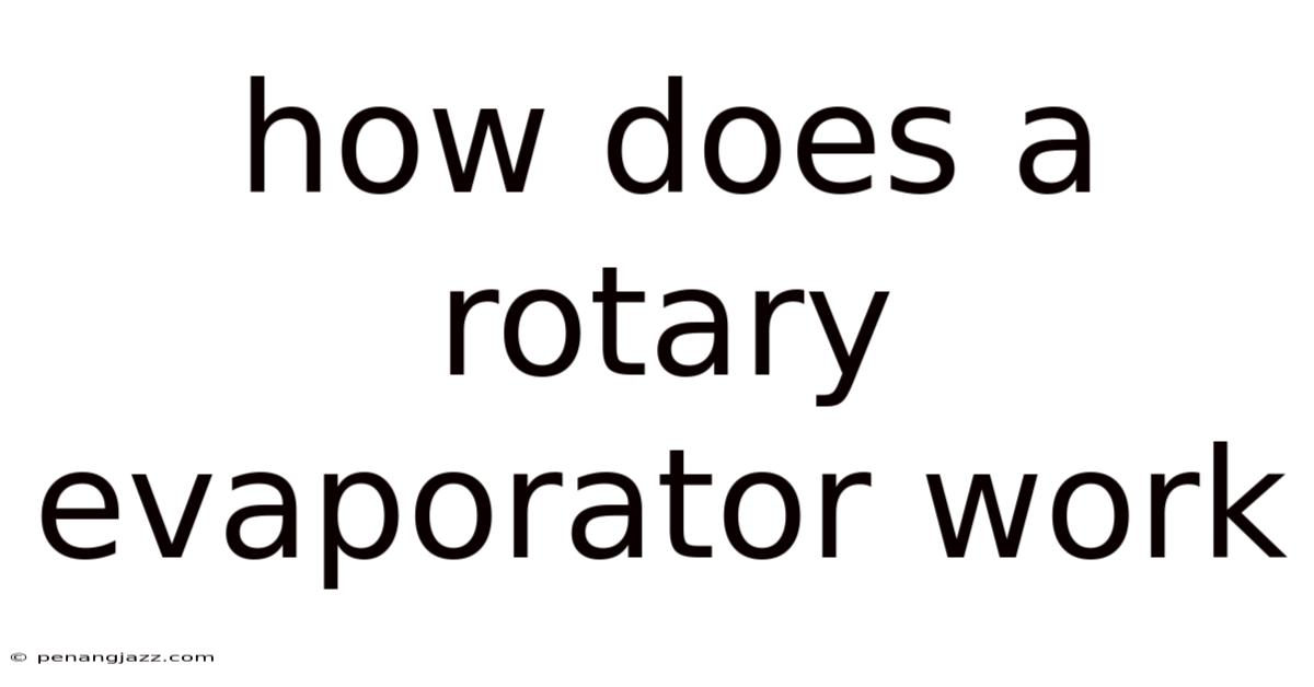 How Does A Rotary Evaporator Work