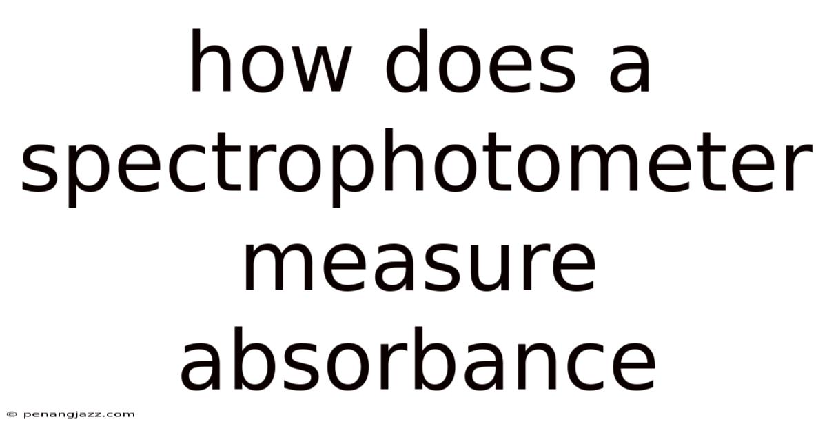 How Does A Spectrophotometer Measure Absorbance