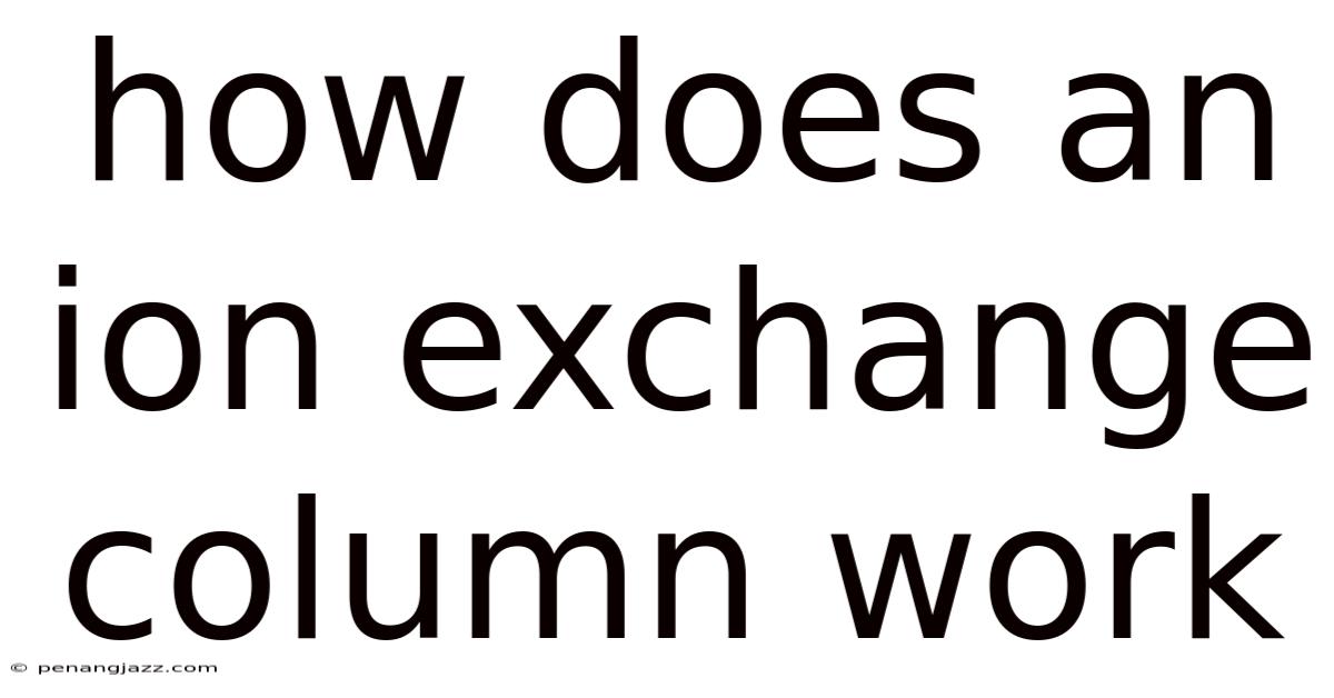 How Does An Ion Exchange Column Work