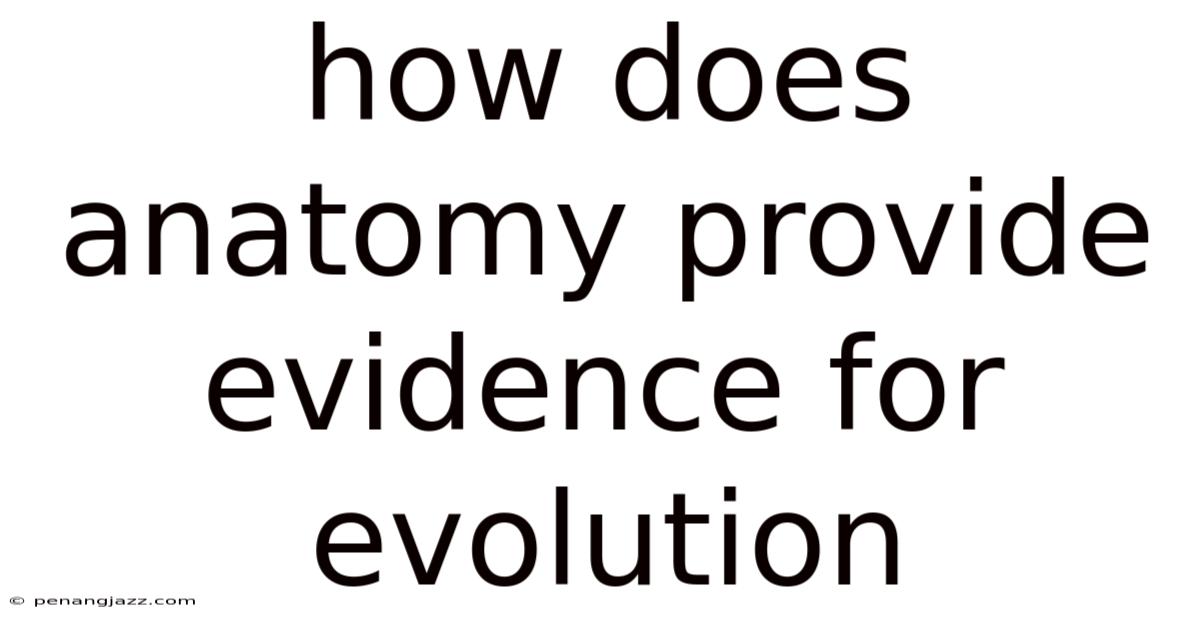 How Does Anatomy Provide Evidence For Evolution