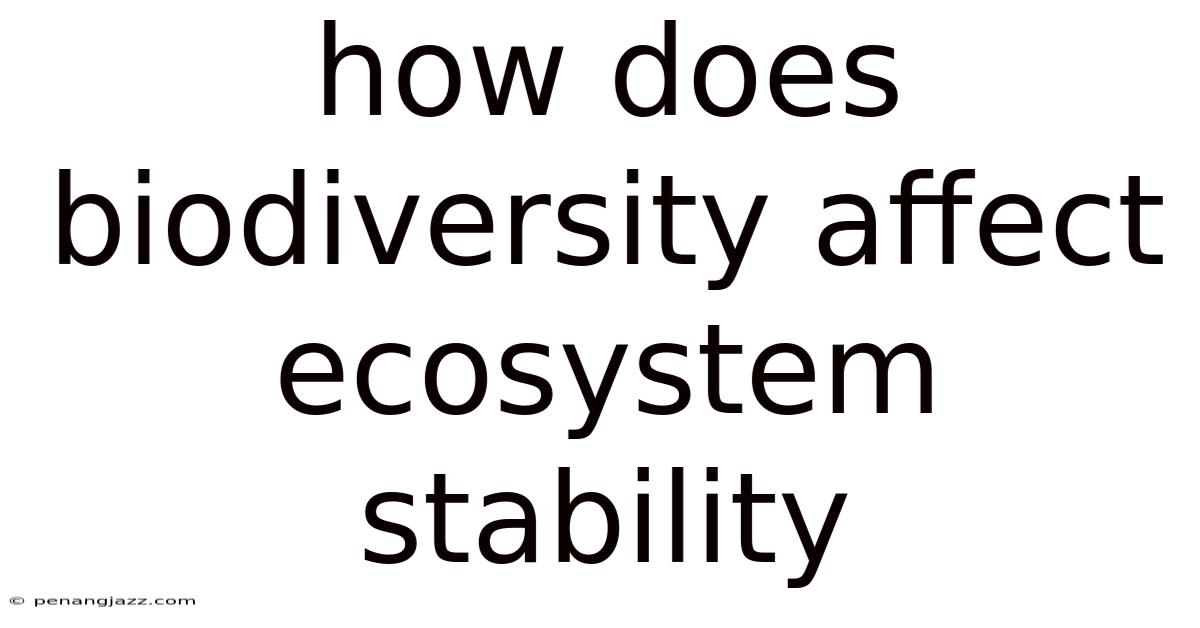 How Does Biodiversity Affect Ecosystem Stability