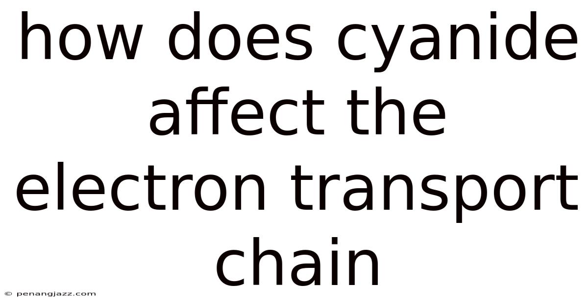 How Does Cyanide Affect The Electron Transport Chain