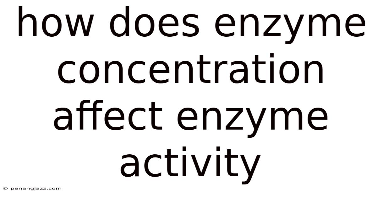How Does Enzyme Concentration Affect Enzyme Activity