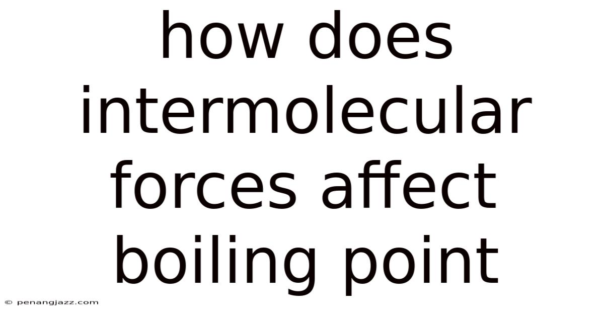 How Does Intermolecular Forces Affect Boiling Point