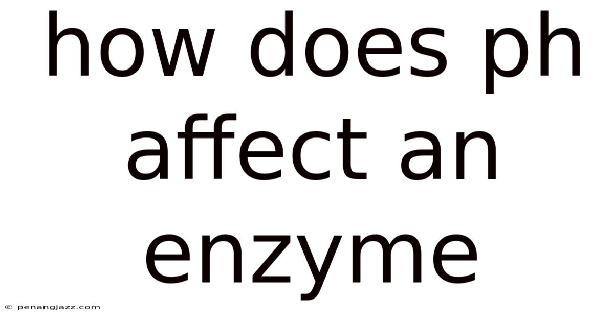 How Does Ph Affect An Enzyme