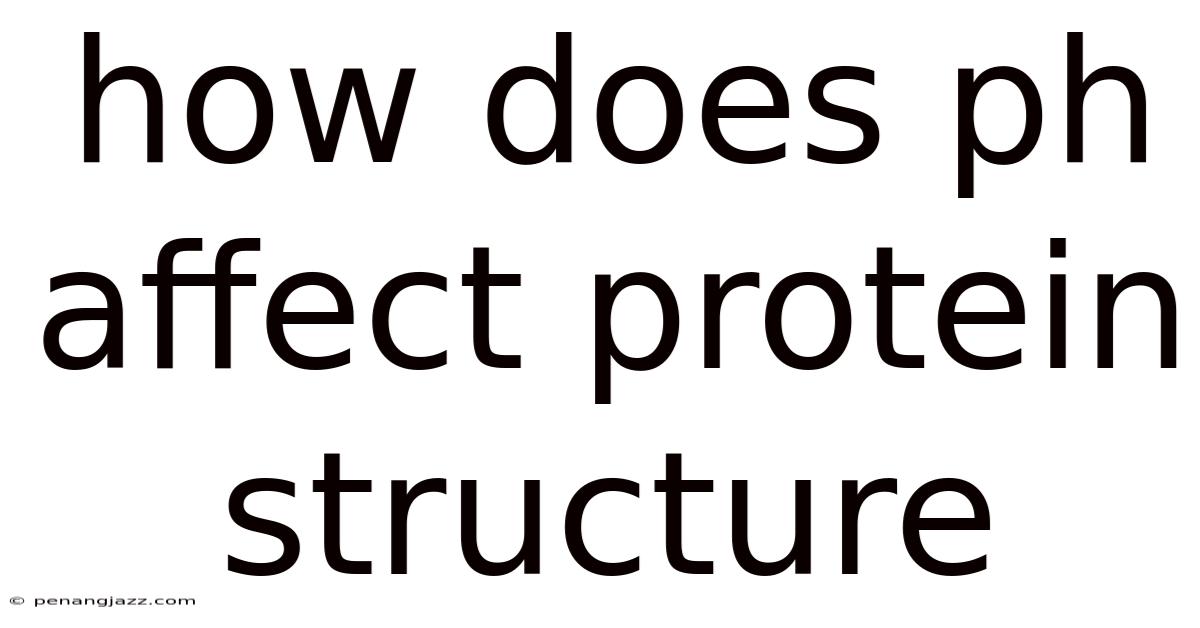 How Does Ph Affect Protein Structure