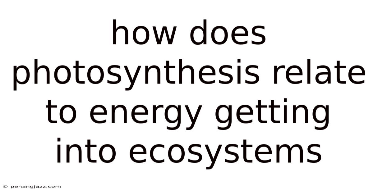 How Does Photosynthesis Relate To Energy Getting Into Ecosystems