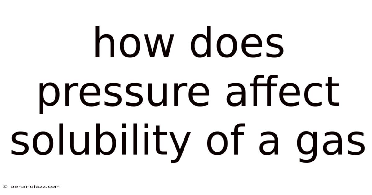 How Does Pressure Affect Solubility Of A Gas
