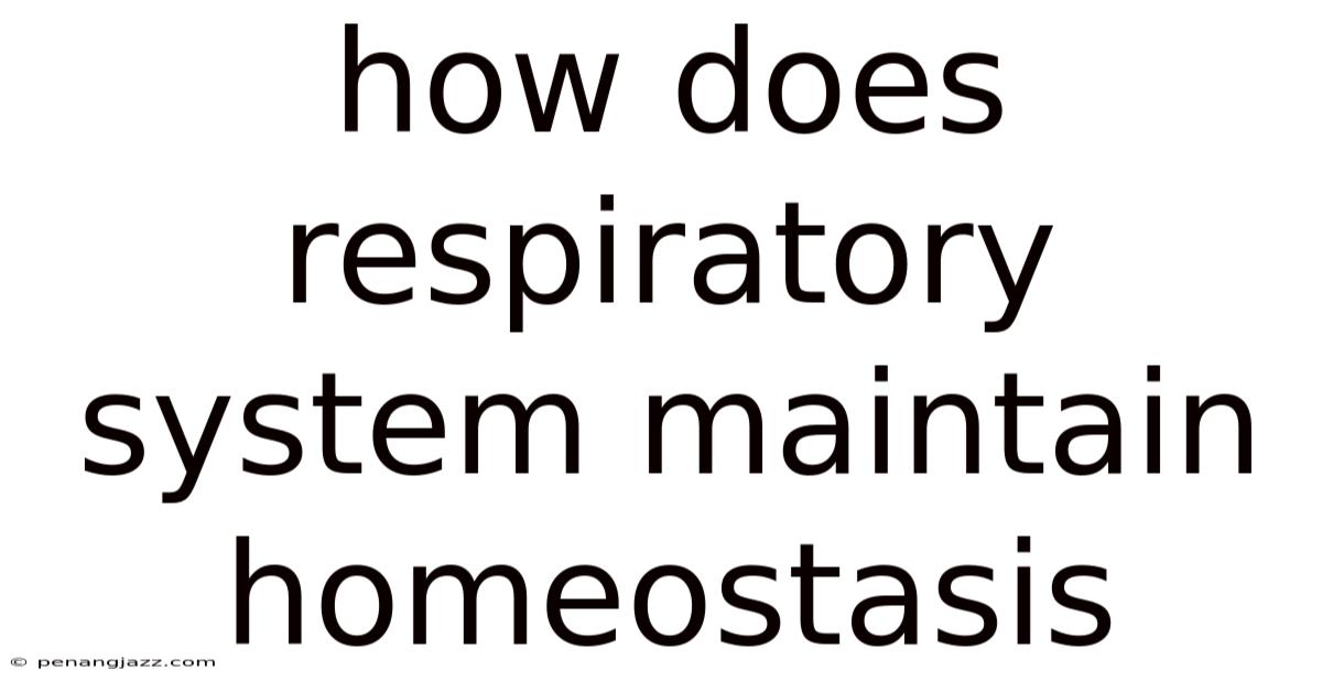 How Does Respiratory System Maintain Homeostasis
