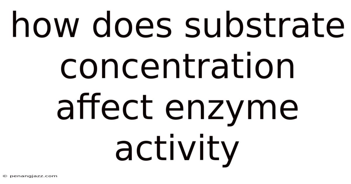 How Does Substrate Concentration Affect Enzyme Activity