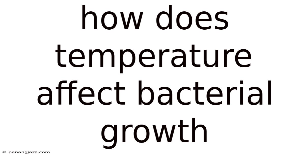 How Does Temperature Affect Bacterial Growth