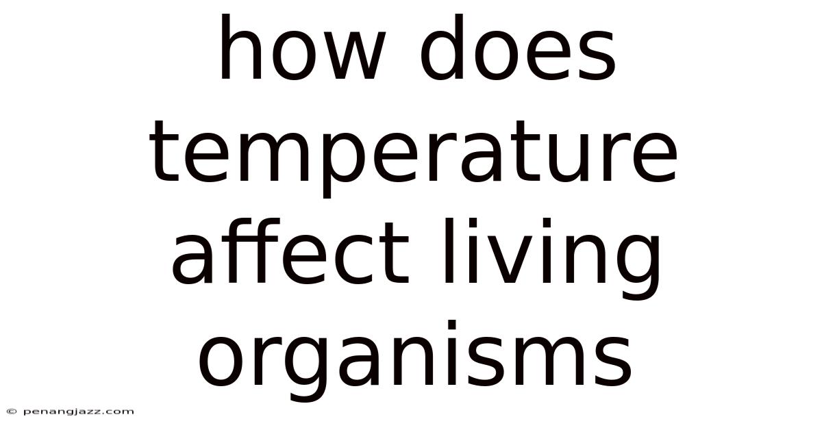 How Does Temperature Affect Living Organisms