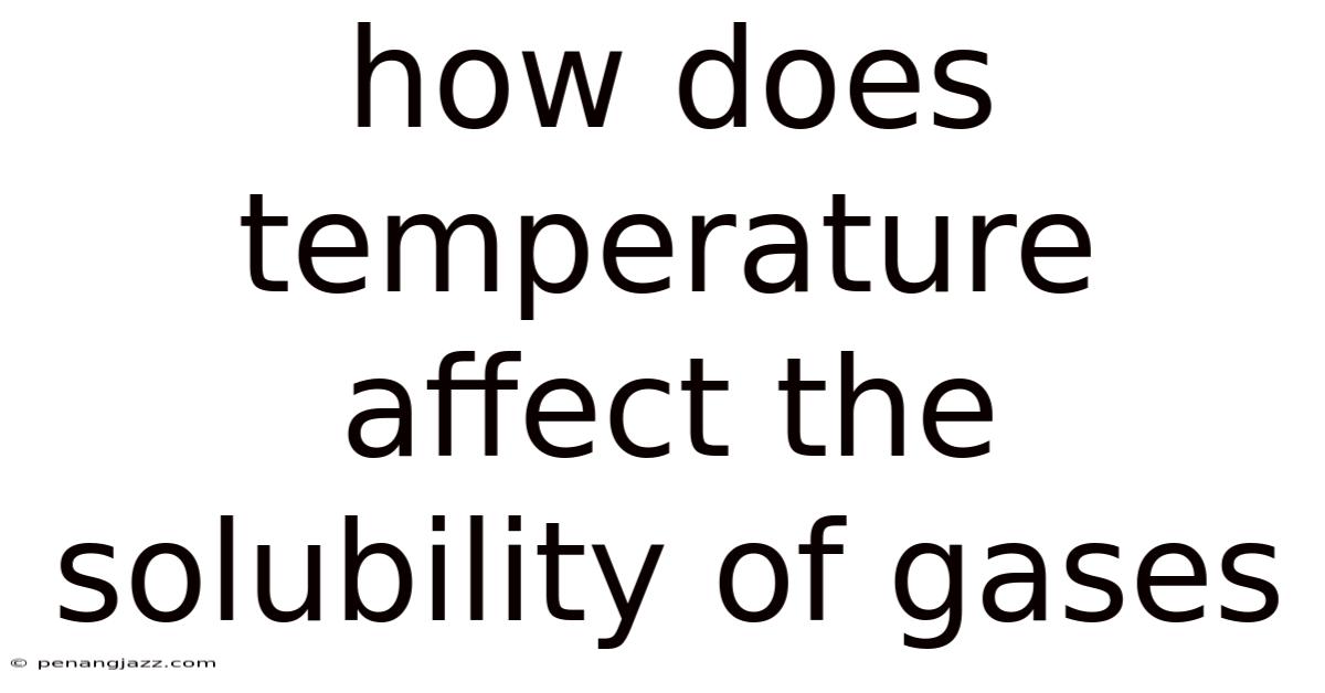 How Does Temperature Affect The Solubility Of Gases