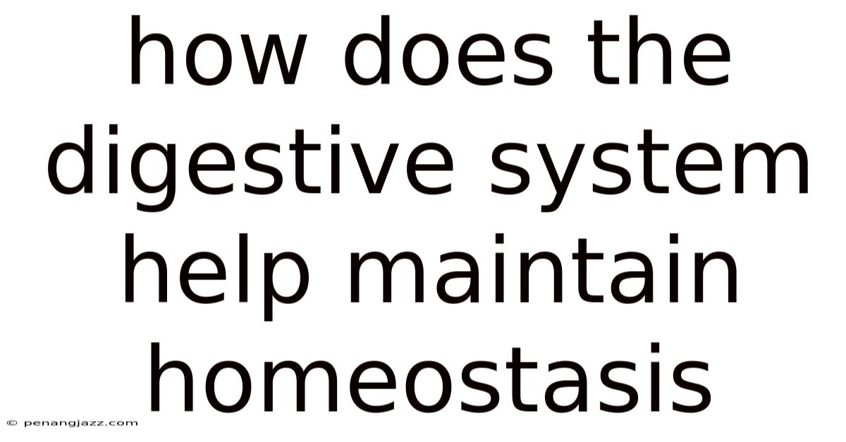 How Does The Digestive System Help Maintain Homeostasis