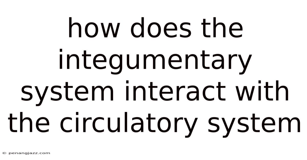 How Does The Integumentary System Interact With The Circulatory System