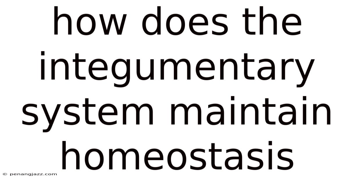 How Does The Integumentary System Maintain Homeostasis