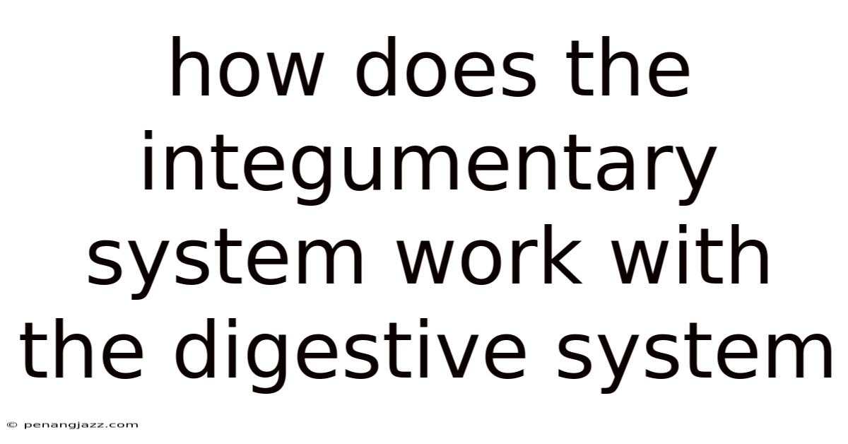 How Does The Integumentary System Work With The Digestive System