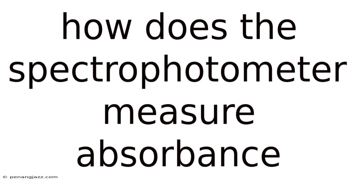 How Does The Spectrophotometer Measure Absorbance