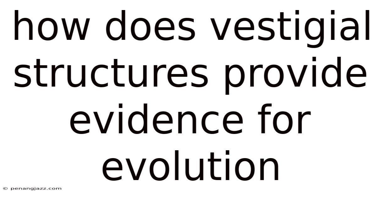 How Does Vestigial Structures Provide Evidence For Evolution