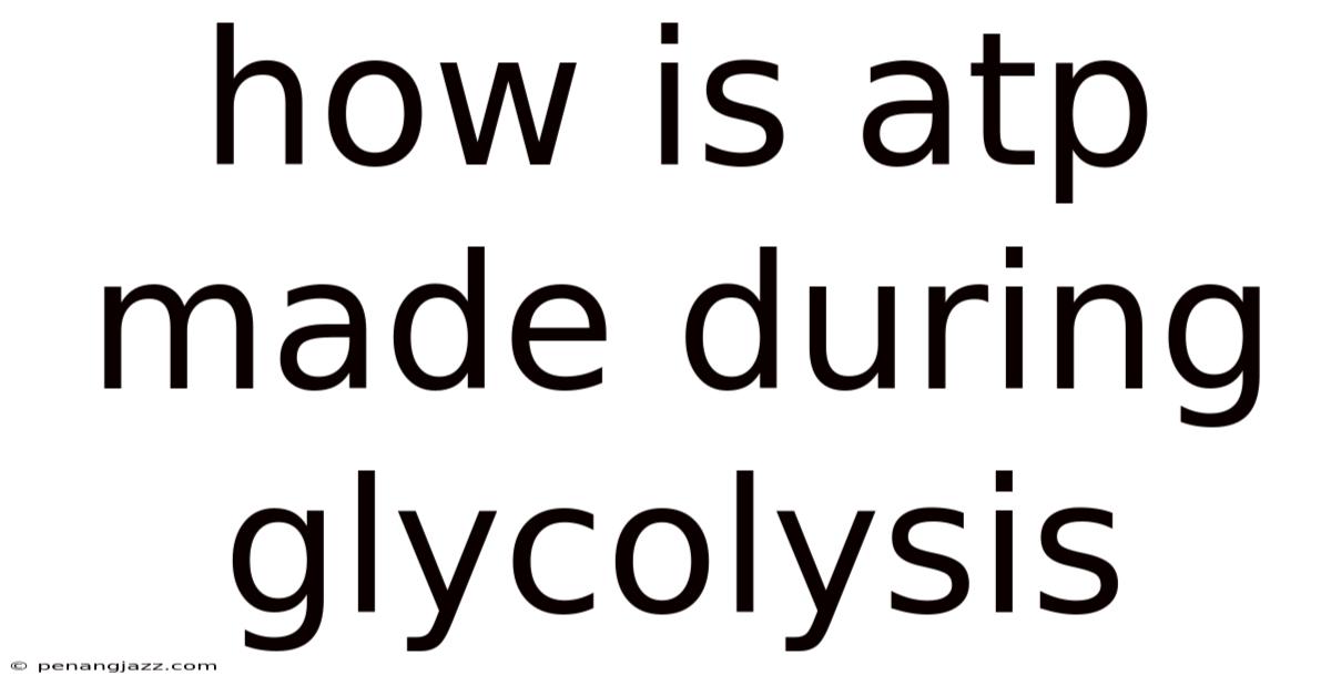 How Is Atp Made During Glycolysis