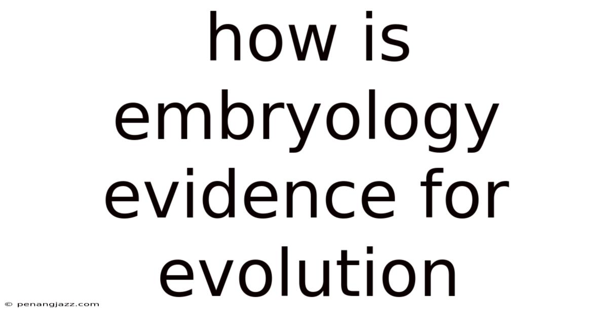 How Is Embryology Evidence For Evolution