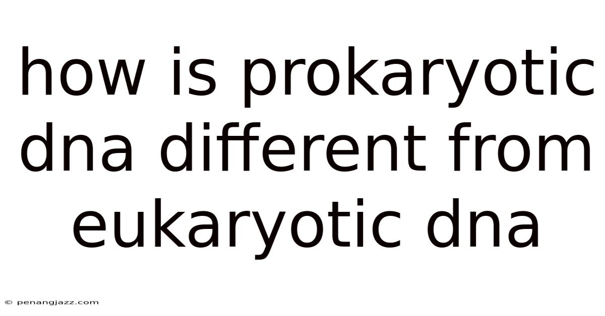 How Is Prokaryotic Dna Different From Eukaryotic Dna
