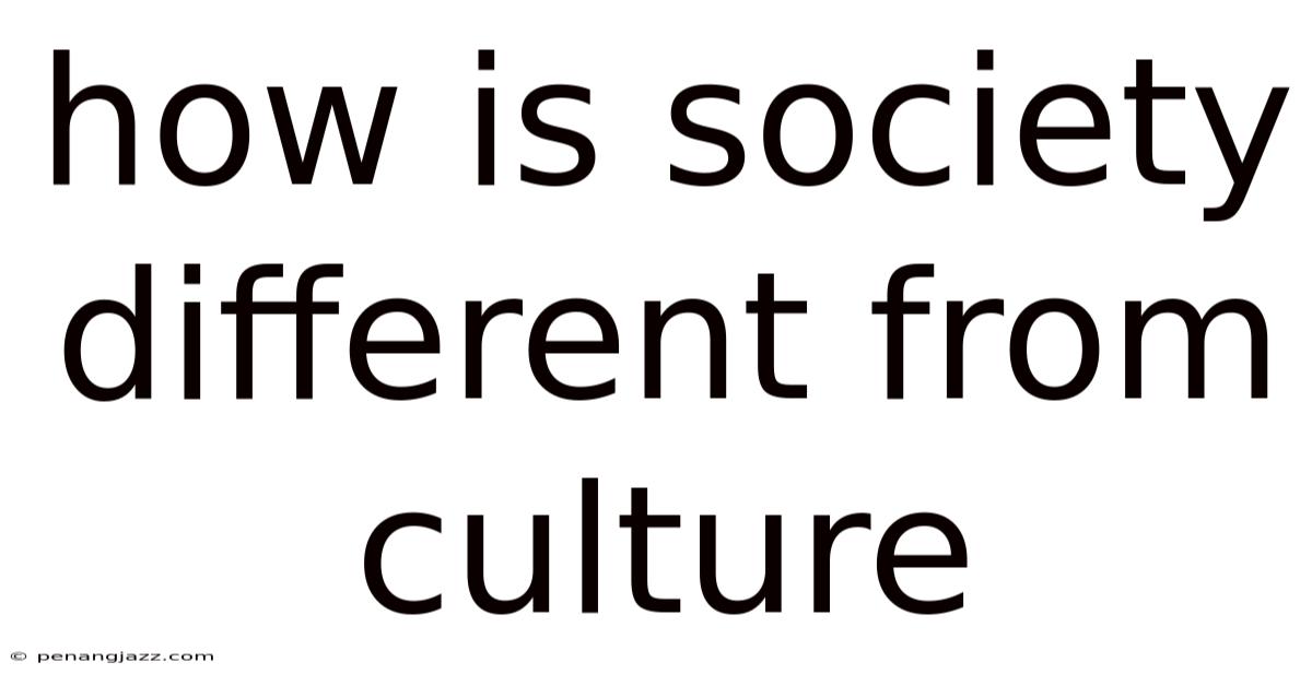 How Is Society Different From Culture