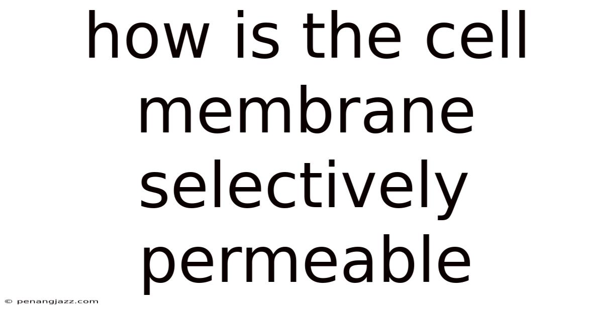 How Is The Cell Membrane Selectively Permeable