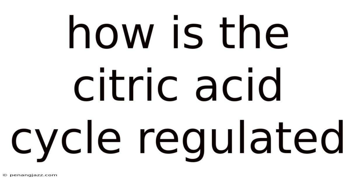 How Is The Citric Acid Cycle Regulated